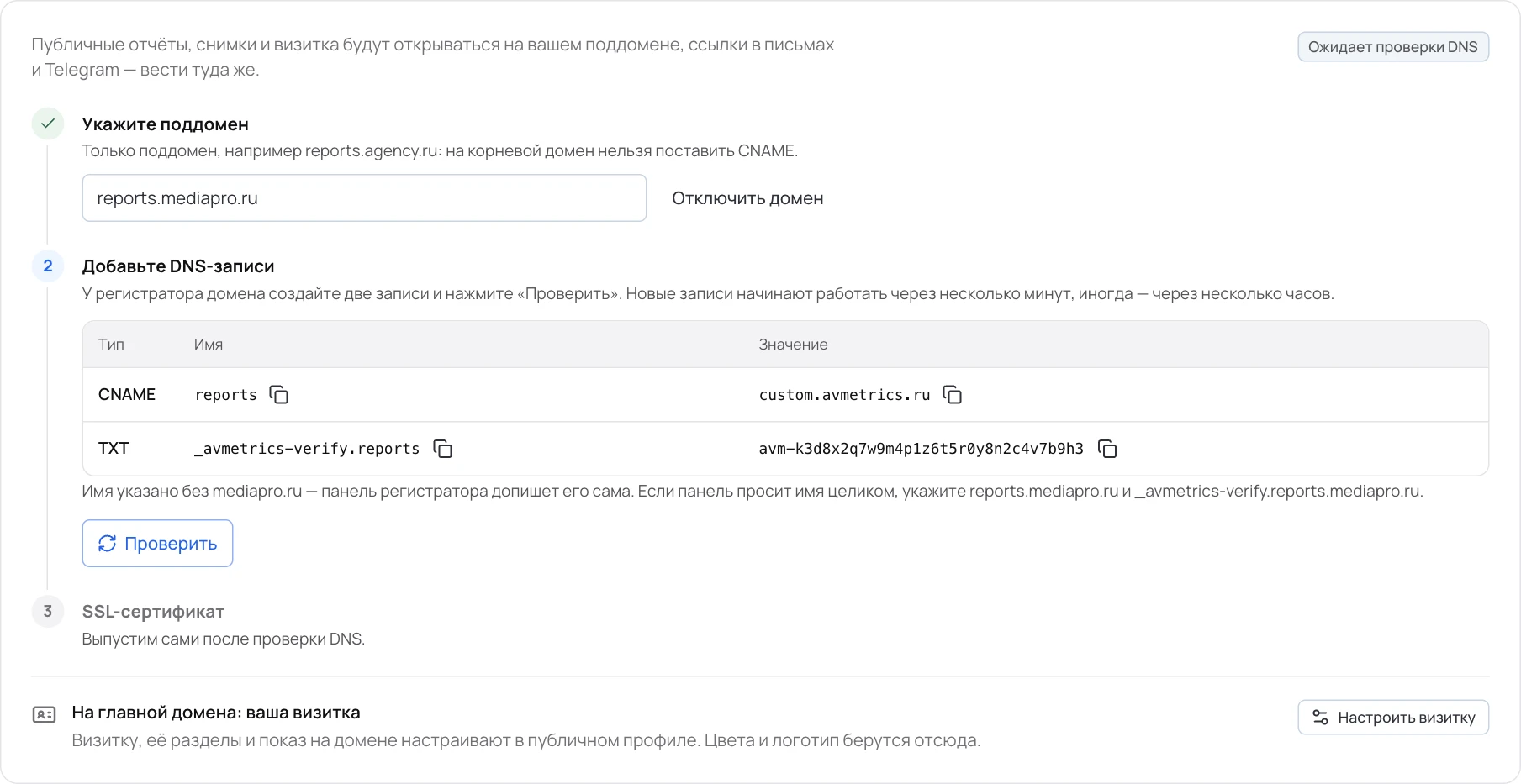 Записи для поддомена reports.mediapro.ru. Кнопки рядом с именем и значением копируют их.