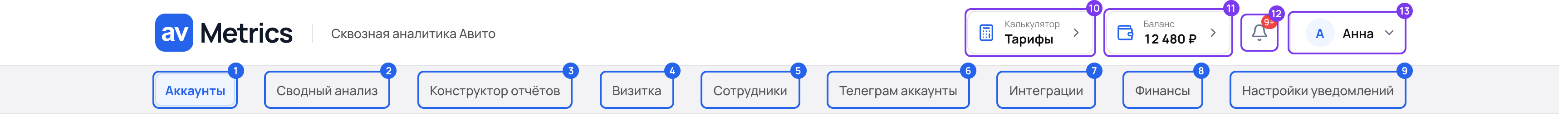 Шапка AvMetrics с пронумерованными пунктами меню